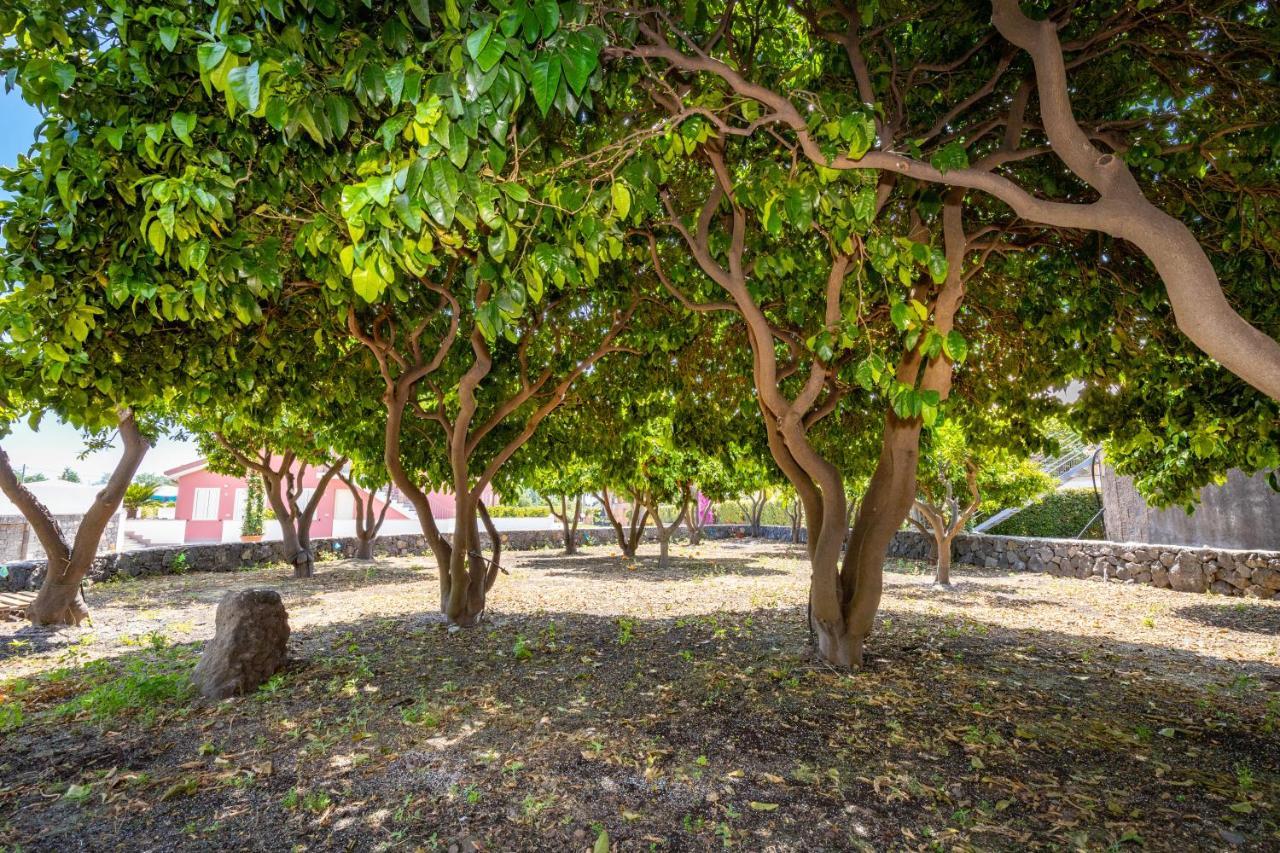 Dipladenia Garden Country Resort Mascali Exterior photo
